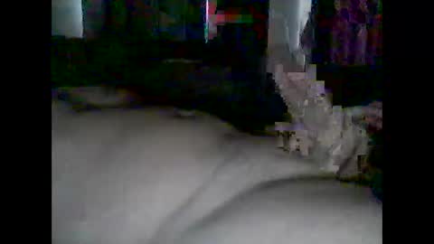 Snapshot of grittslappa chatting on 04/25/26, 12:02 grittslappa online show from 04/25/26, 12:02
