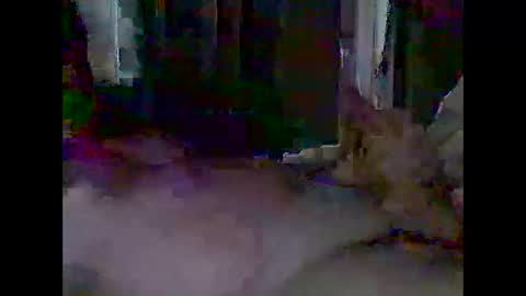 Snapshot of grittslappa chatting on 04/28/26, 03:00 grittslappa online show from 04/28/26, 03:00