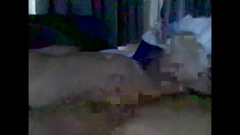 Snapshot of grittslappa chatting on 05/03/26, 01:55 grittslappa online show from 05/03/26, 01:55