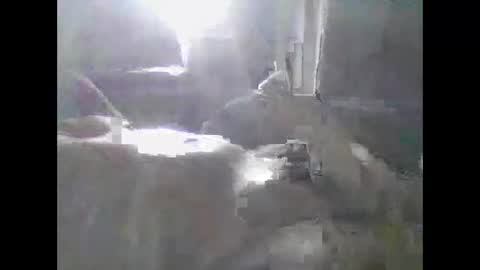 Snapshot of grittslappa chatting on 05/11/26, 12:38 grittslappa online show from 05/11/26, 12:38