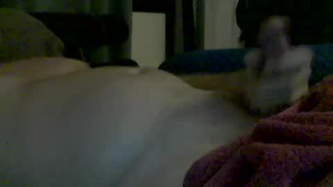 Snapshot of grittslappa chatting on 06/13/26, 04:49 grittslappa online show from 06/13/26, 04:49