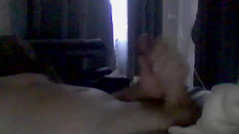 Snapshot of grittslappa chatting on 06/22/26, 02:02 grittslappa online show from 06/22/26, 02:02