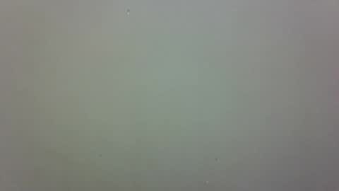 growerboy25 online show from 11/26/25, 02:56