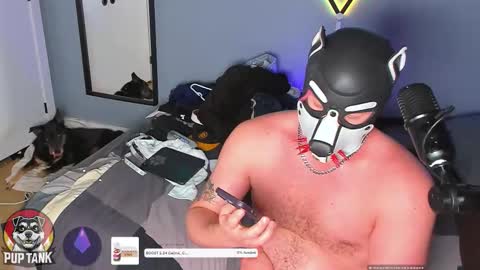 Alpha pup online show from 11/23/25, 07:35