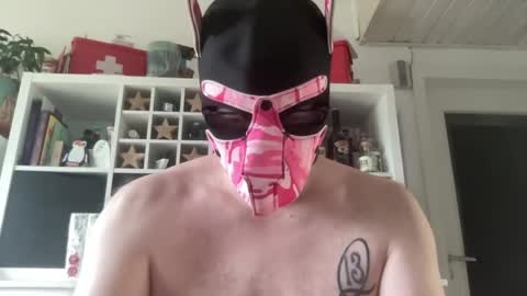 Snapshot of gummicasual chatting on 12/18/25, 10:43 gummicasual online show from 12/18/25, 10:43