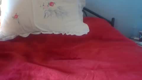 Snapshot of gunishment chatting on 02/02/25, 01:08 gunishment online show from 02/02/25, 01:08