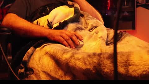 Snapshot of h0tttsteel chatting on 12/18/24, 10:08 h0tttsteel online show from 12/18/24, 10:08