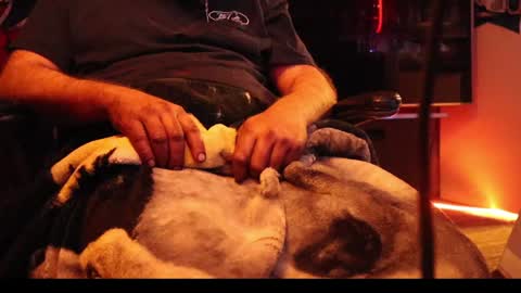 Snapshot of h0tttsteel chatting on 12/18/24, 01:12 h0tttsteel online show from 12/18/24, 01:12