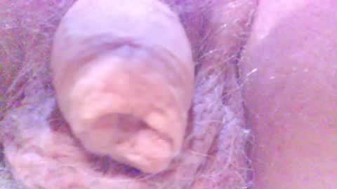 Snapshot of hagridthehorrible chatting on 02/05/25, 12:53 hagridthehorrible online show from 02/05/25, 12:53