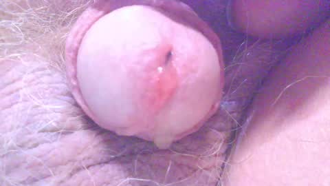 Snapshot of hagridthehorrible chatting on 03/05/25, 11:38 hagridthehorrible online show from 03/05/25, 11:38