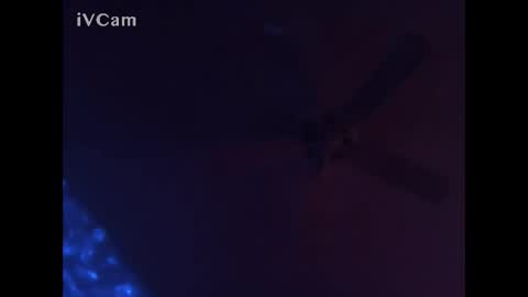 hahauwish007 online show from 12/10/24, 07:16