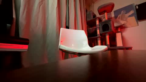 haildave6 online show from 04/26/26, 12:41