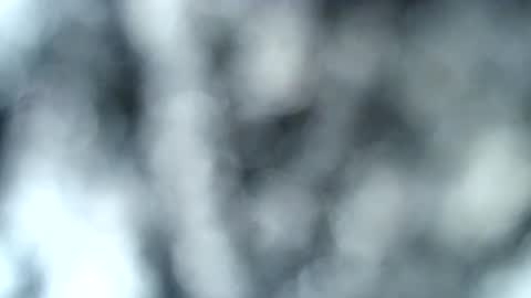 Snapshot of haileyblonde chatting on 01/17/25, 12:53 tatted blonde online show from 01/17/25, 12:53