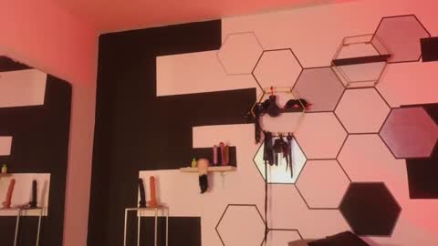 haileycat_ online show from 01/25/25, 12:27