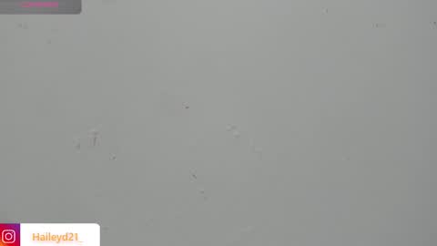 Hailey online show from 03/23/26, 02:48