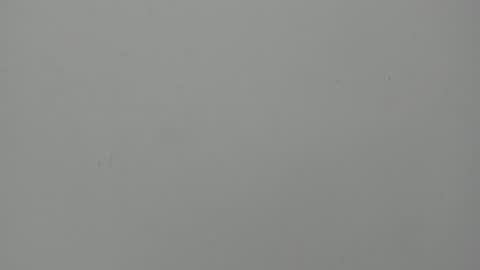 Hailey online show from 06/09/26, 12:22