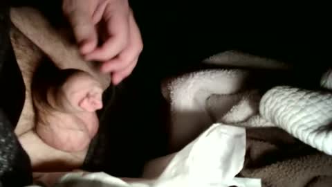 Snapshot of hailhail2 chatting on 02/02/26, 03:05 share9 online show from 02/02/26, 03:05