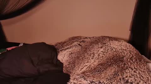 HailWilds online show from 03/01/25, 02:59