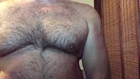 Snapshot of hairbear5 chatting on 05/24/26, 02:22 Bruce online show from 05/24/26, 02:22