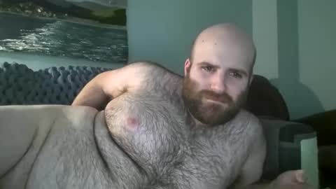 Snapshot of hairiestbear chatting on 01/14/25, 03:47 Hairiest Bear online show from 01/14/25, 03:47