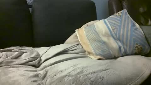 Snapshot of hairiestbear chatting on 02/18/25, 08:16 Hairiest Bear online show from 02/18/25, 08:16