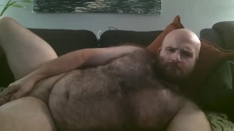 Snapshot of hairiestbear chatting on 10/07/25, 03:58 Hairiest Bear online show from 10/07/25, 03:58