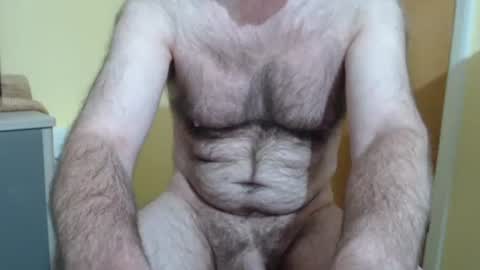 Snapshot of hairyape1 chatting on 05/17/26, 01:29 Hairy male online show from 05/17/26, 01:29