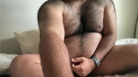 Snapshot of hairyaussie00 chatting on 12/04/24, 03:04 hairyaussie00 online show from 12/04/24, 03:04