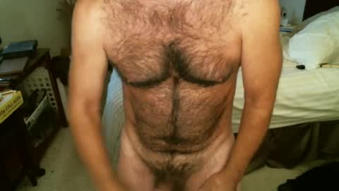 Snapshot of hairypecsguy chatting on 10/14/25, 04:57 Hairy pecs online show from 10/14/25, 04:57