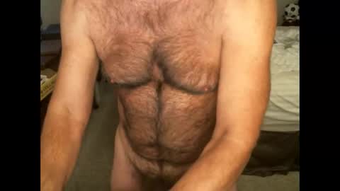 Snapshot of hairypecsguy chatting on 11/02/25, 06:49 Hairy pecs online show from 11/02/25, 06:49