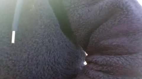 hairypussyxl online show from 01/13/25, 05:33