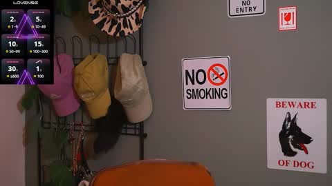 HairyRobXxX online show from 11/20/25, 04:29