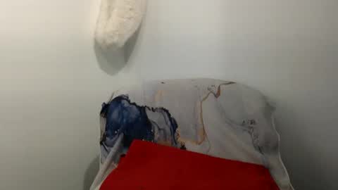 Snapshot of hairytonkas chatting on 01/08/25, 02:57 HairyTonkas online show from 01/08/25, 02:57