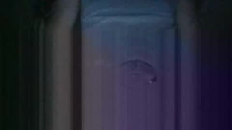 Snapshot of haitham419382 chatting on 10/11/25, 12:36 Kiss cocky online show from 10/11/25, 12:36