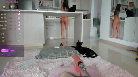 insta Laupalacio777Next stream 01th December online show from 12/14/24, 12:44