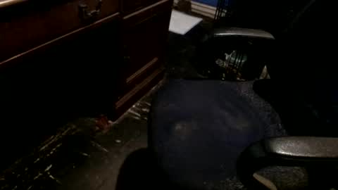 hammerhead973 online show from 12/22/25, 08:17