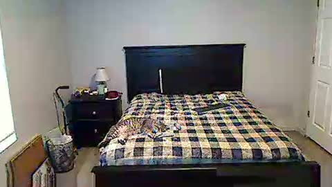 hammerthatthang73 online show from 05/17/26, 11:28