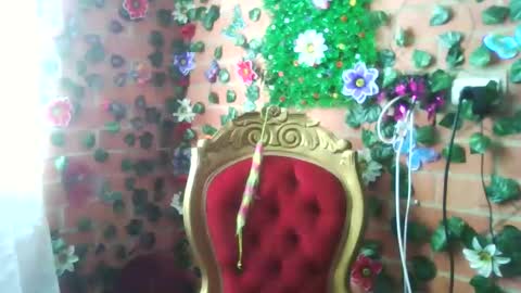 Snapshot of han_deus chatting on 12/25/24, 05:05 HANMy Dears make sure to follow me here create a FREE account if you dont have one and chat thank you. online show from 12/25/24, 05:05