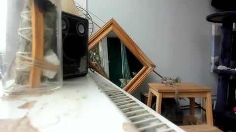 Snapshot of handncocknocum chatting on 02/19/25, 09:06 handncocknocum online show from 02/19/25, 09:06