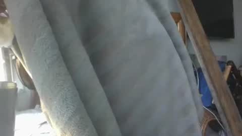 handncocknocum online show from 01/16/26, 09:02