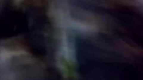 Snapshot of happydick69a chatting on 10/02/25, 01:29 happydick69a online show from 10/02/25, 01:29