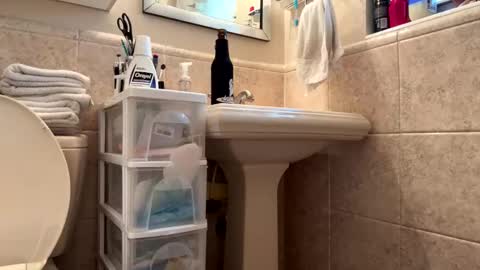 Snapshot of happyhogan1 chatting on 03/14/26, 10:15 Jhonassmann12 online show from 03/14/26, 10:15