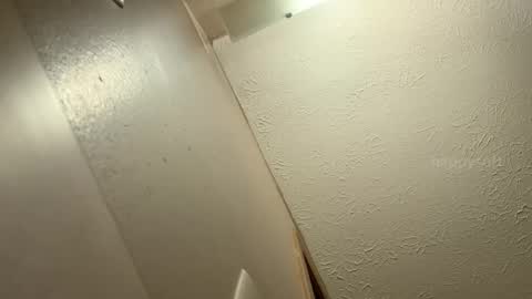 meatwad online show from 12/09/24, 06:14