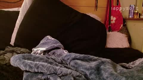 meatwad online show from 03/11/25, 11:33