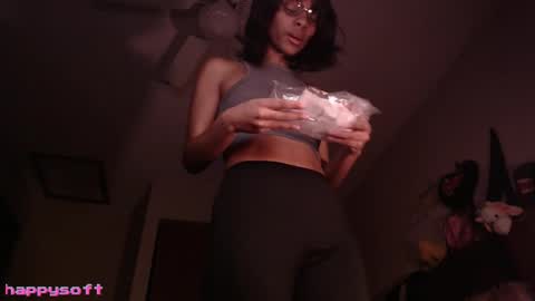 Snapshot of happysoft chatting on 01/17/26, 02:44 meatwad online show from 01/17/26, 02:44