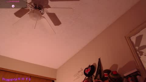 Snapshot of happysoft chatting on 02/14/26, 02:25 meatwad online show from 02/14/26, 02:25