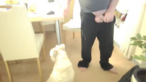 Snapshot of harald1234 chatting on 02/21/26, 01:56 harald1234 online show from 02/21/26, 01:56