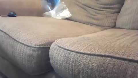 hardcock2share online show from 02/04/25, 10:55