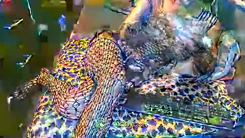 Snapshot of hardfucking_mistress chatting on 02/02/25, 12:46 Irina online show from 02/02/25, 12:46