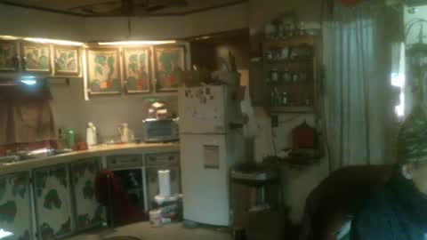 Snapshot of hardinhand44 chatting on 01/31/25, 04:59 john nobles online show from 01/31/25, 04:59